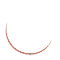 NKST Education Department Preloader